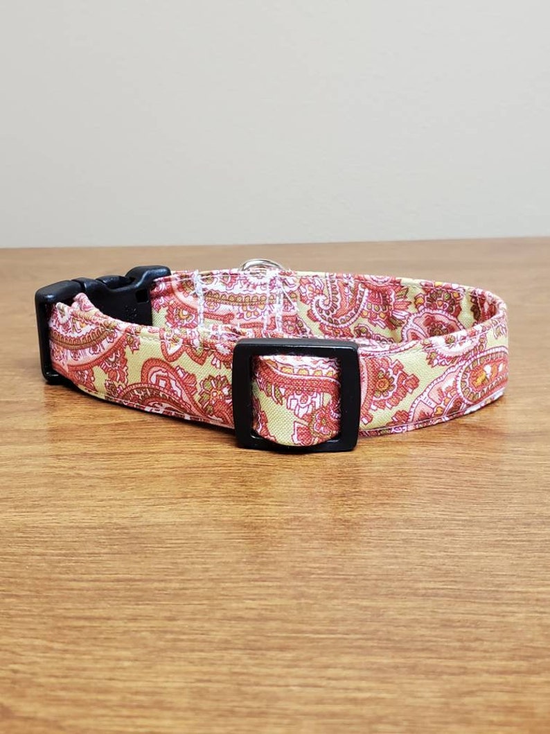 Pink Paisley on Green Dog Collar Etsy