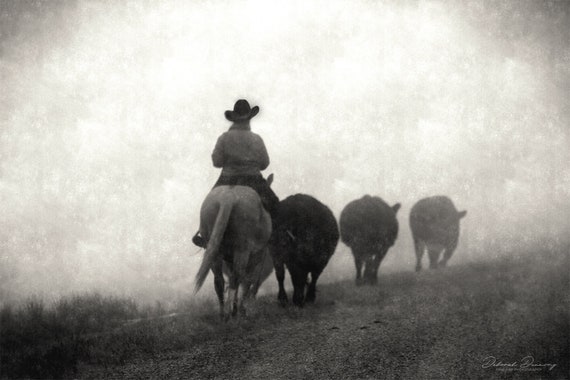 Canvas Cattle Cowboy Print Picture Photo Portrait Into The Mist
