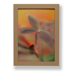 Framed close-up photograph of a lilac flower. Framed with a one of a kind hand painted picture frame.