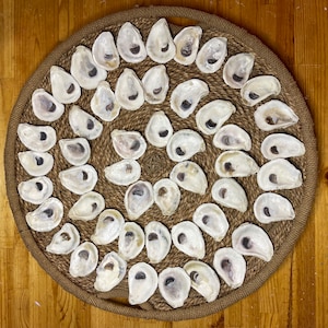 Set of 50 Small (around 3 inches) Oyster Shells | Crafting Ready | Nautical Decor