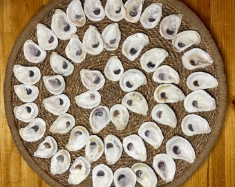 Set of 50 Small (around 3 inches) Oyster Shells | Crafting Ready | Nautical Decor