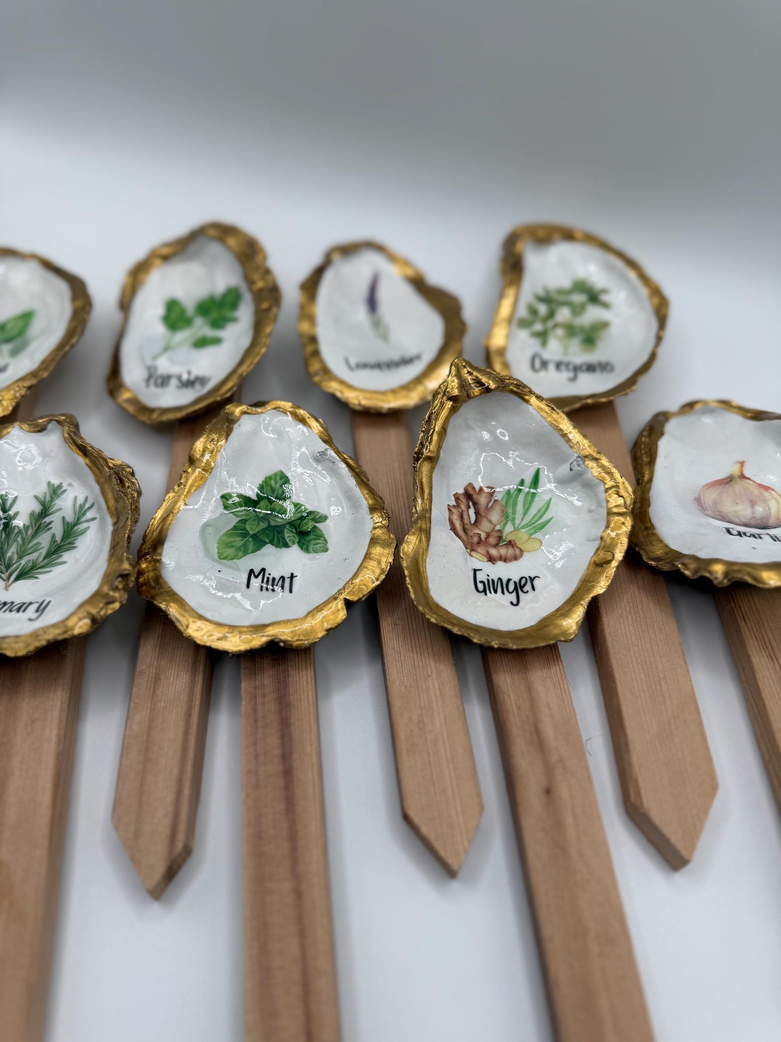 Shell Table Marker Oyster Shell Herb Plant Markers - Etsy
