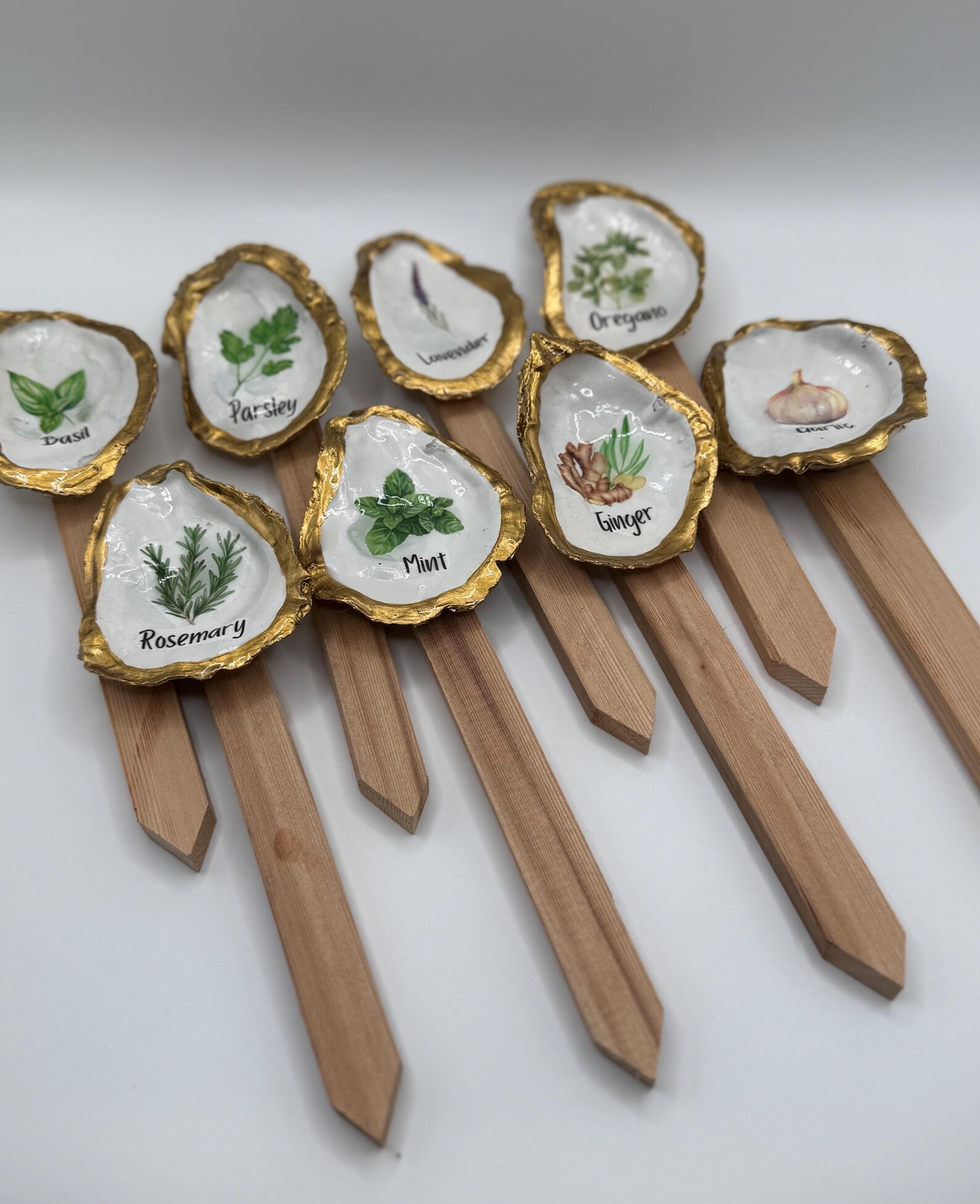 Shell Table Marker Oyster Shell Herb Plant Markers - Etsy