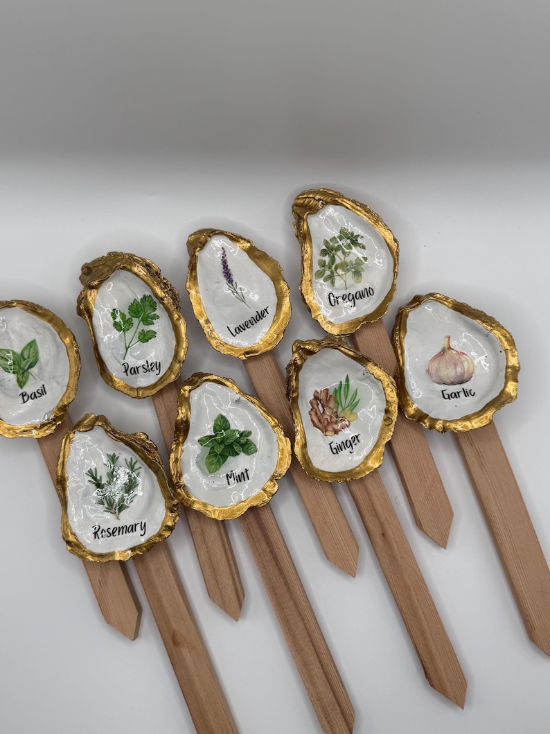 Shell Table Marker Oyster Shell Herb Plant Markers - Etsy