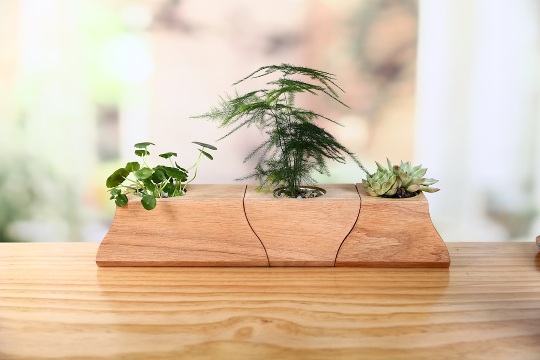 Ressha Set of 3 Wooden Office Plant Pots Decorative Succulent Pots