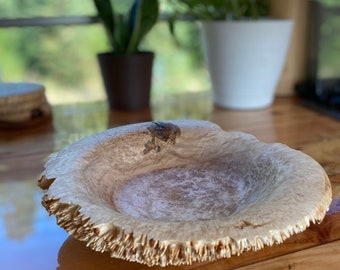 Maple Burl Wood Bowl