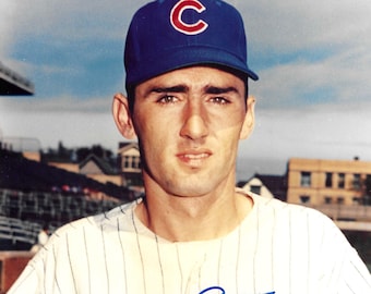 Billy Cowan Chicago Cubs Signed 8x10 Photograph PSA/DNA
