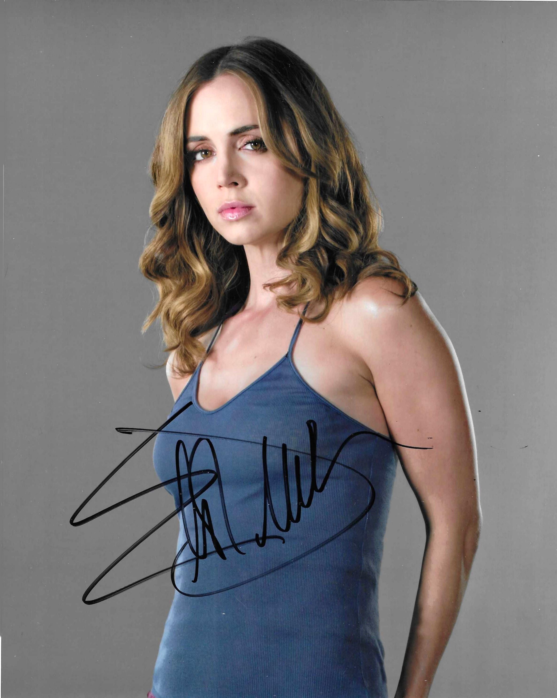 Beck ベック シルクスクリーン ポスター ダレン・グリーリッシュ直筆サイン入 美術品・アンティーク・コレクション Beck ベック シルクスクリーン