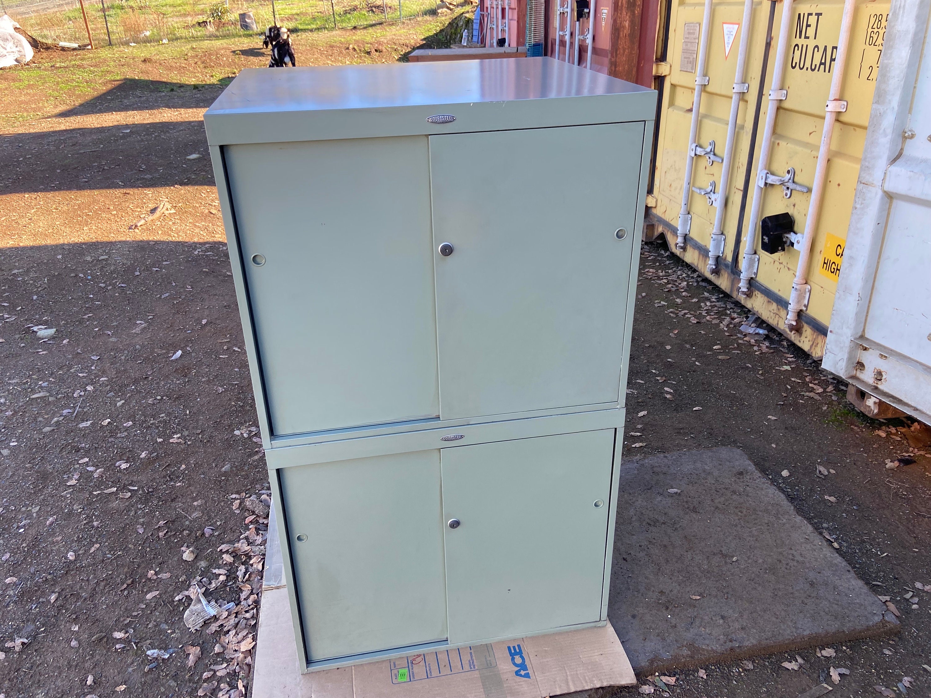 Cole steel cabinet discount