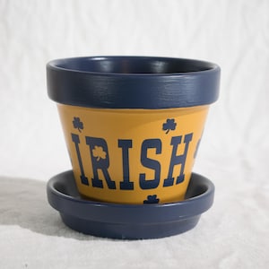 May include: A blue and yellow ceramic planter with the word "Irish" written in blue letters. The planter has a matching saucer.