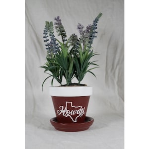 May include: A terracotta flower pot with a white rim and a white painted Texas outline and the word "Howdy" in cursive. The pot is filled with a green plant with purple flowers.