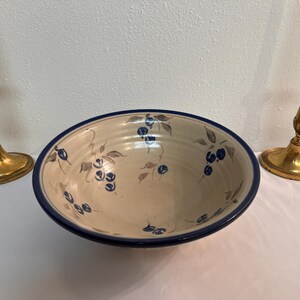 May include: A large, cream-coloured ceramic bowl with a blue rim and a hand-painted design of brown vines and blue berries.