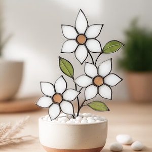 Puede incluir: Un arreglo floral decorativo con tres flores blancas de vidriera con centros marrones y hojas verdes. Las flores están colocadas en una pequeña maceta de cerámica blanquecina llena de guijarros blancos. La maceta tiene una base color terracota.