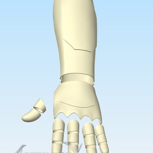 May include: A cream-colored, segmented gauntlet armor piece featuring a forearm guard, a hand plate with scalloped edges, and individual finger coverings. The word ASCENSION is printed in a stylized font at the bottom left of the image.