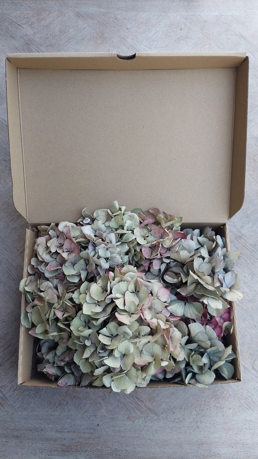 Dried Hydrangea Heads Etsy UK