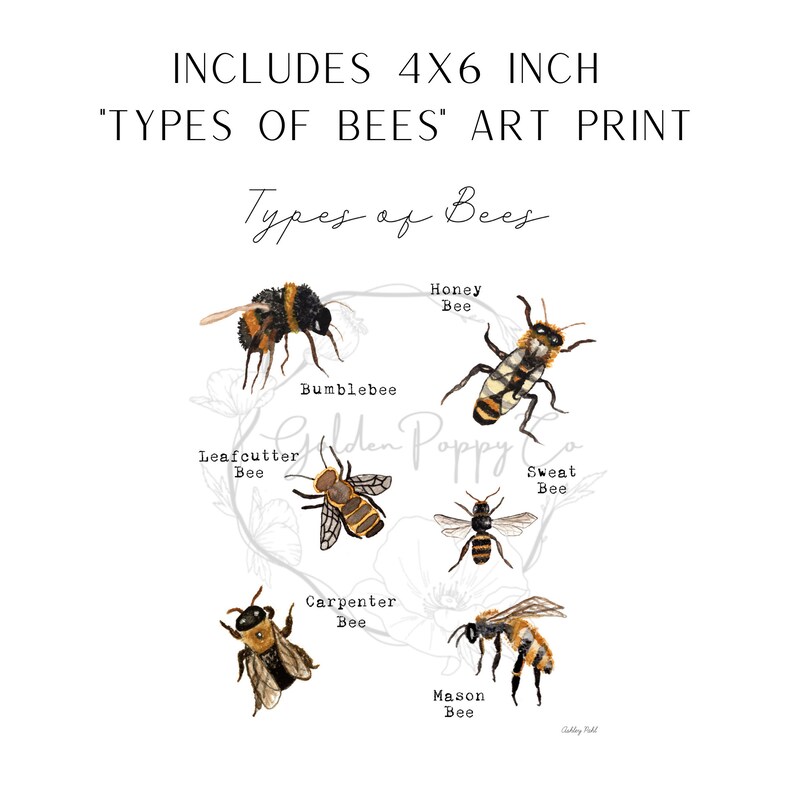 Build Your Own Bee House DIY Mason Bee House Kit Made With Etsy