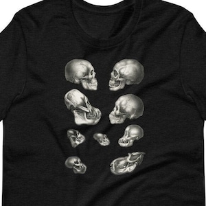 May include: Black t-shirt with a design of multiple skulls in various sizes and positions.