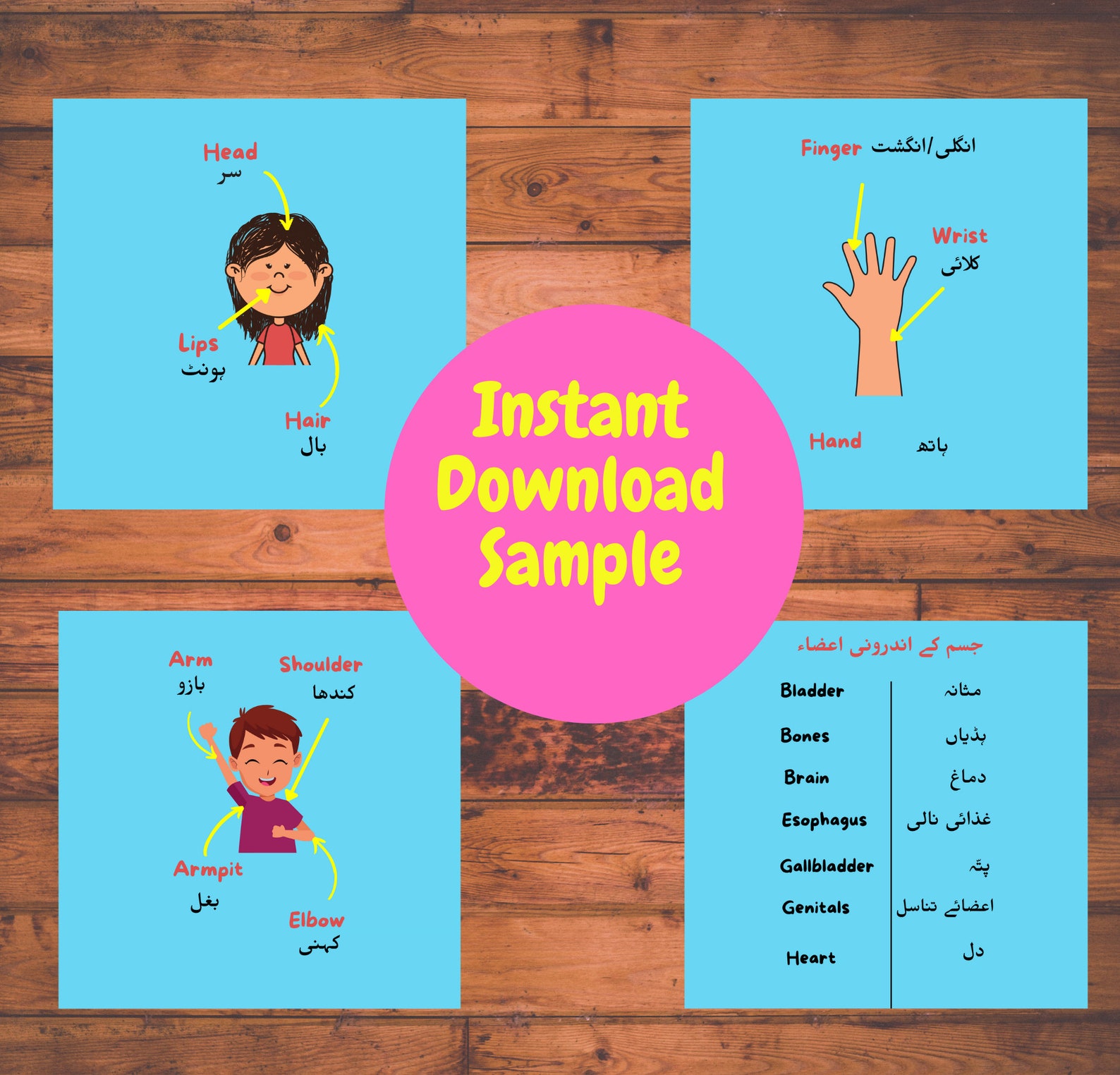 Parts of Body Urdu kids Books Urdu made easy with high Etsy