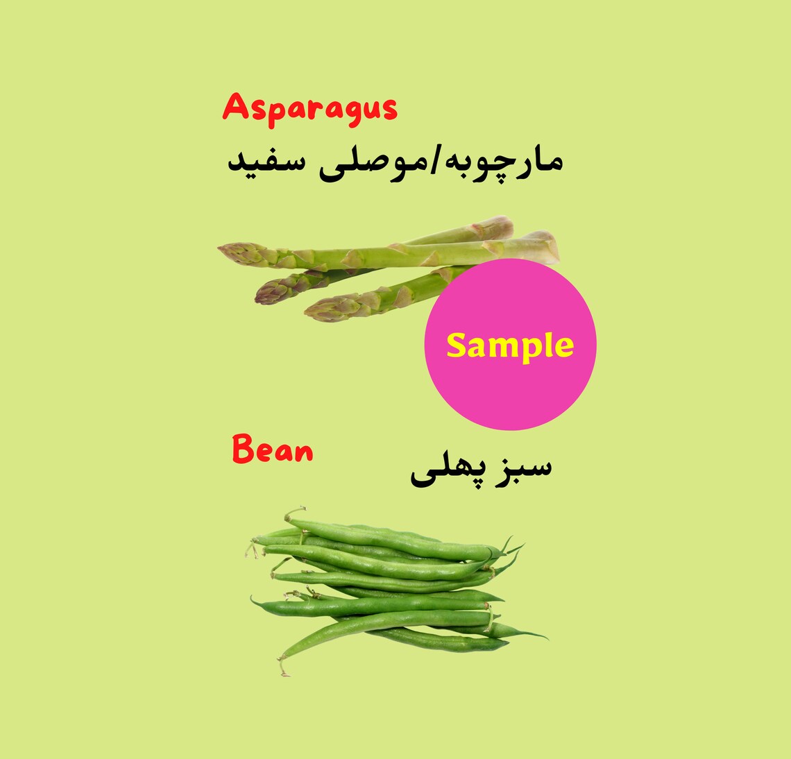 Vegetables in urdu Fruits in Hindi Urdu kids Books learn Etsy