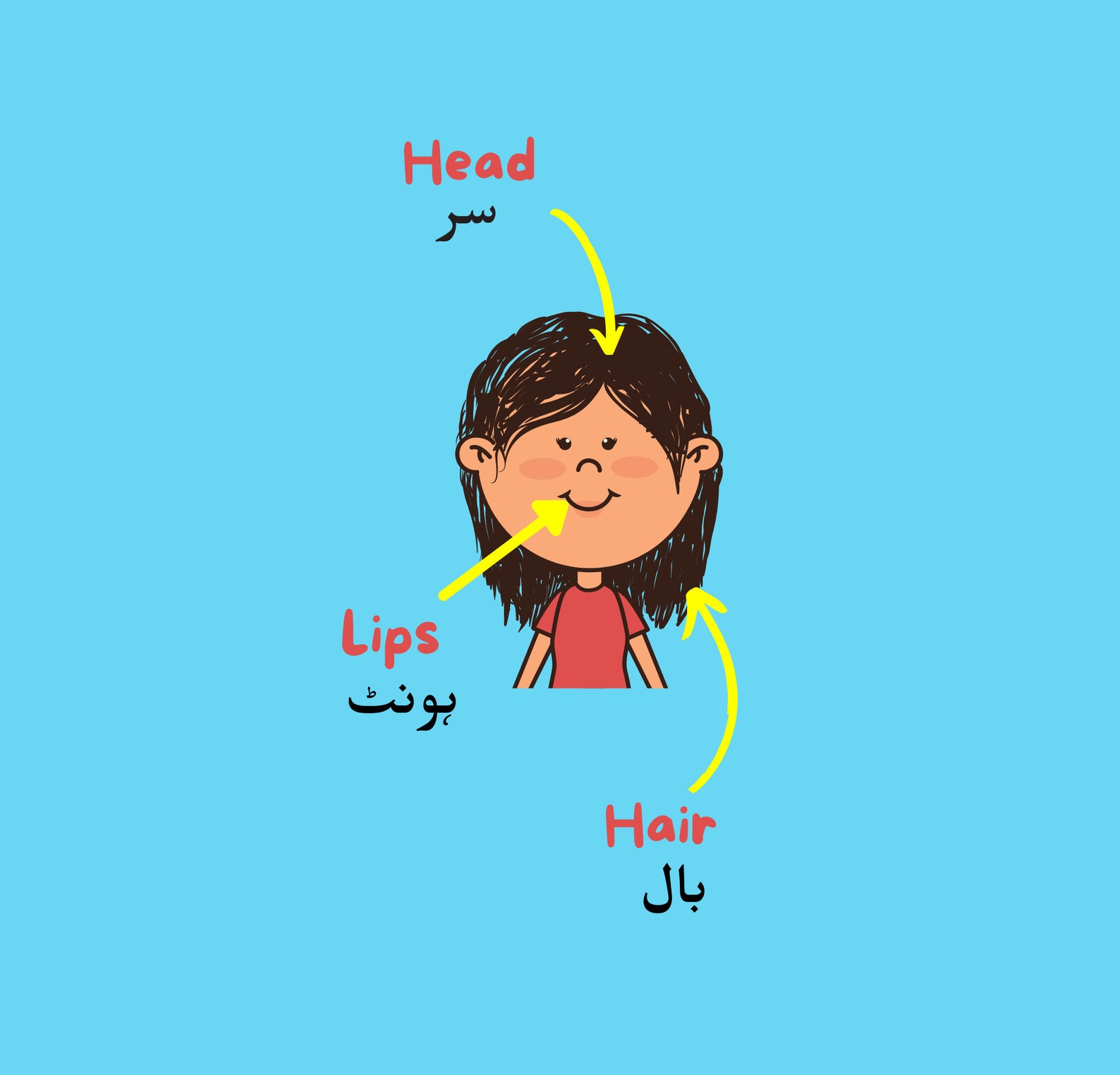 Parts of Body Urdu kids Books Urdu made easy with high Etsy