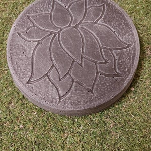 Beautiful stepping stone of a Lotus flower