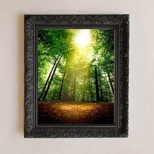 The Sacred Grove: The First Vision - Fine Art Photography Print