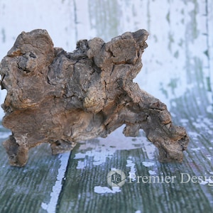 Driftwood Sculpture, Modern Décor, Natural and Organic Home Accents, Driftwood Beach Décor, Boho Décor, Home and Office Décor, Shelf Accent
