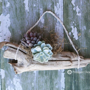 Faux/Fake Succulent Wall Art Hanging, Faux Succulent Arrangement, Driftwood Décor, Beach Wall Décor, Driftwood Wall Art, Driftwood Sculpture