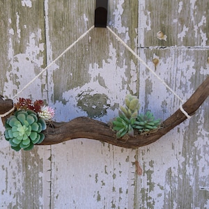 Handmade Faux Succulent Wall Art Hanging, Driftwood Décor, Meditation and Healing Décor, Beach Wall Décor, Boho Décor