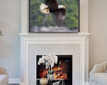 Bald Eagle Soaring Print: Wildlife Photography, Nature Wall Art