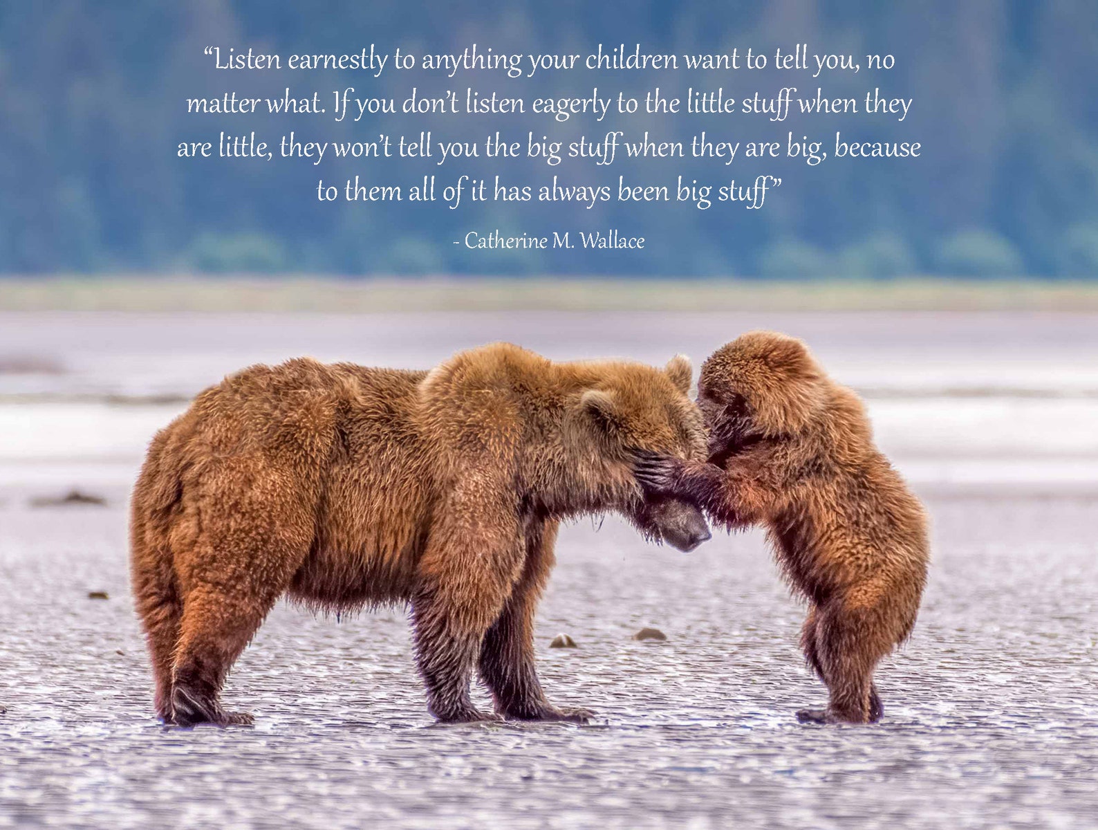 Mom Wait Mama Bear and Cub Wildlife Photography Animal - Etsy