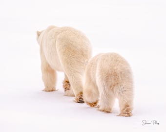 Polar Bear Photo Print: Mom and Baby Wildlife Art