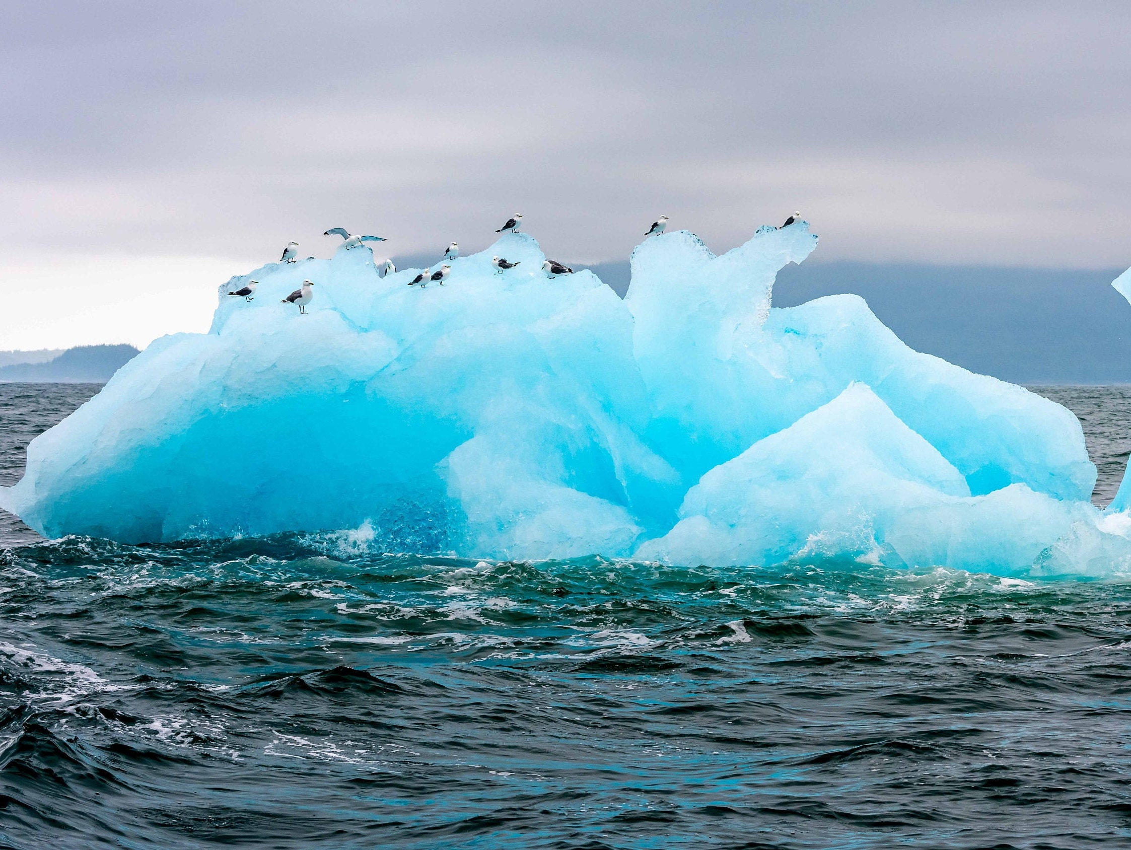 Iceberg Glacier, Alaska, Blue Ice, Landscape Photo Print, Nature