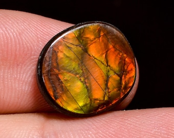 Amazing Top Grade Quality 100% Natural Ammolite Oval Shape Cabochon Loose Gemstone For Making Jewelry 14X12X3 MM 07.00 Cts. KR41-26