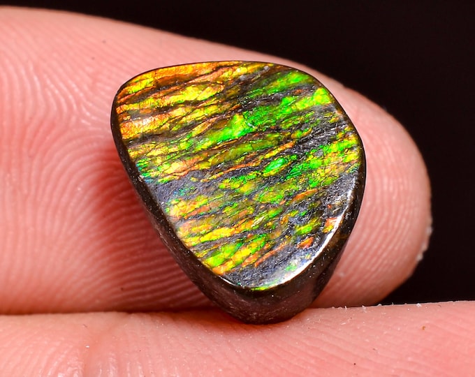 Mind Blowing Top Grade Quality 100% Natural Ammolite Fancy Shape Cabochon Loose Gemstone For Making Jewelry 12X10X4 MM 06.50 Cts. KR41-16