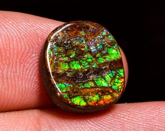 Outstanding Top Grade Quality 100% Natural Ammolite Oval Shape Cabochon Loose Gemstone For Making Jewelry 13X12X4 MM 07.50 Cts. KR41-42