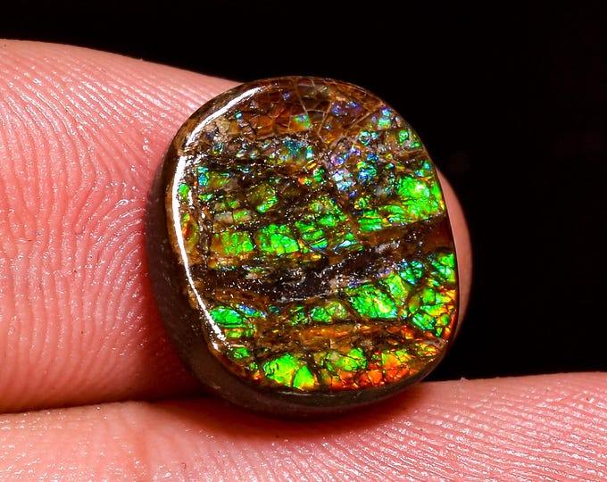 Outstanding Top Grade Quality 100% Natural Ammolite Oval Shape Cabochon Loose Gemstone For Making Jewelry 13X12X4 MM 07.50 Cts. KR41-42