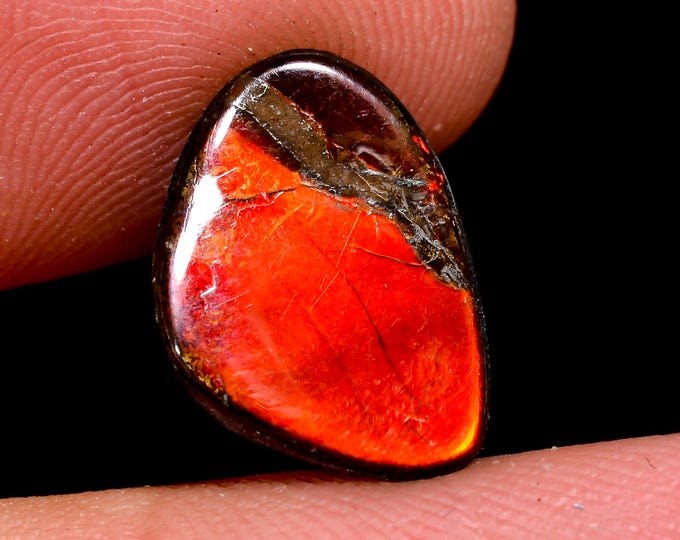 Immaculate Top Grade Quality 100% Natural Ammolite Fancy Shape Cabochon Loose Gemstone For Making Jewelry 13X10X3 MM 04.00 Cts. KR41-13