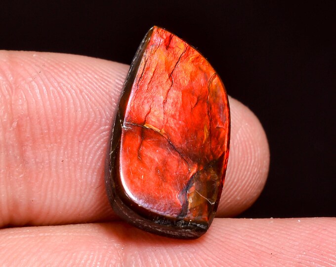 Splendid Top Grade Quality 100% Natural Ammolite Fancy Shape Cabochon Loose Gemstone For Making Jewelry 18X10X4 MM 07.50 Cts. KR41-18