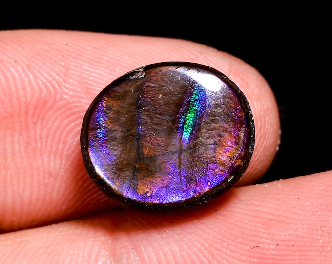 6.50 Cts. Canadian Ammolite Ammonite Triplet Amazing Quality 100% Natural Ammolite  Cabochon Loose Gemstone For Making Jewelry 12X10X4 MM