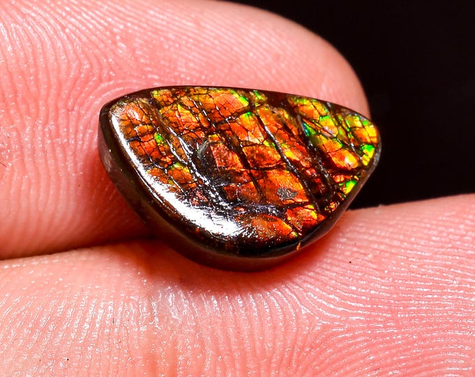 Terrific Top Grade Quality 100% Natural Ammolite Fancy Shape Cabochon Loose Gemstone For Making Jewelry 14X9X4 MM 06.50 Cts. KR41-48