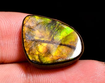 12.00 Cts. Canadian Ammolite Ammonite Triplet Amazing Quality 100% Natural Ammolite  Cabochon Loose Gemstone For Making Jewelry 18X14X4 MM