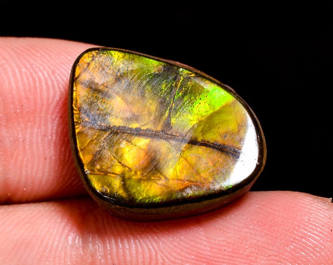12.00 Cts. Canadian Ammolite Ammonite Triplet Amazing Quality 100% Natural Ammolite  Cabochon Loose Gemstone For Making Jewelry 18X14X4 MM
