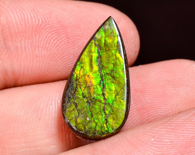 Unique Top Grade Quality 100% Natural Ammolite Pear Shape Cabochon Loose Gemstone For Making Jewelry 20X10X5 MM 11.50 Cts. KR41-24