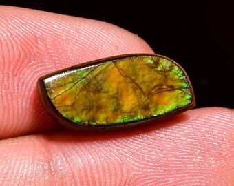 Mind Blowing Top Grade Quality 100% Natural Ammolite Fancy Shape Cabochon Loose Gemstone For Making Jewelry 16X7X4 MM 05.00 Cts. KR41-41