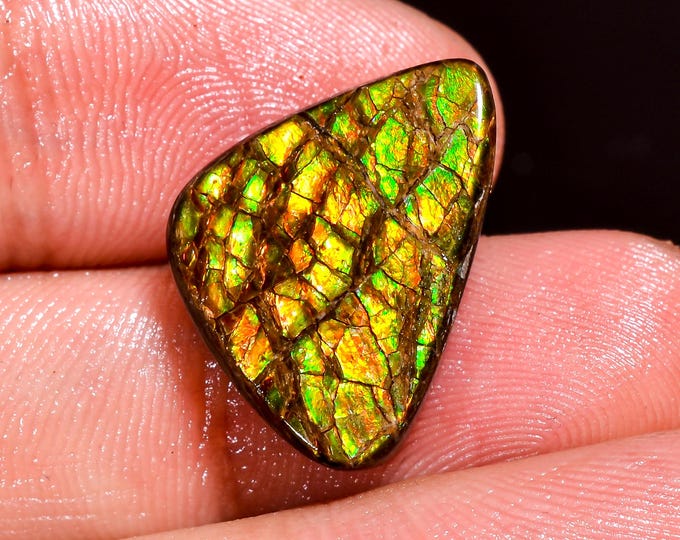Attractive Top Grade Quality 100% Natural Ammolite Fancy Shape Cabochon Loose Gemstone For Making Jewelry 19X13X5 MM 13.50 Cts. KR41-52