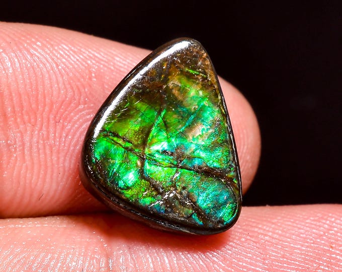 Supreme Top Grade Quality 100% Natural Ammolite Fancy Shape Cabochon Loose Gemstone For Making Jewelry 14X11X4 MM 09.00 Cts. KR41-46