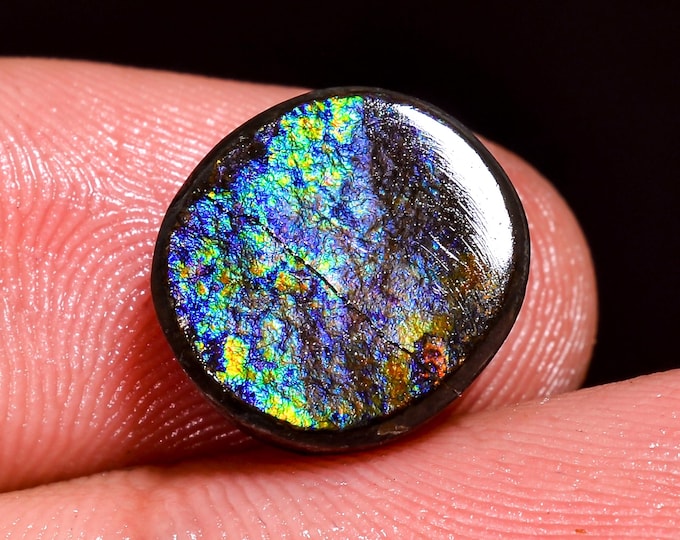 Beautiful Top Grade Quality 100% Natural Ammolite Oval Shape Cabochon Loose Gemstone For Making Jewelry 12X10X4 MM 05.50 Cts. KR41-54