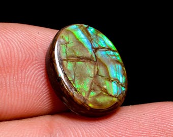 Supreme Top Grade Quality 100% Natural Ammolite Oval Shape Cabochon Loose Gemstone For Making Jewelry 14X11X4 MM 07.50 Cts. KR41-21