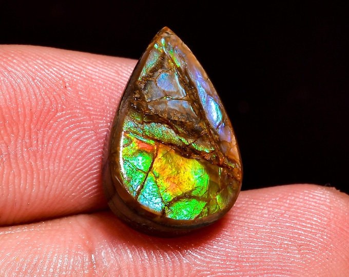 Elegant Top Grade Quality 100% Natural Ammolite Pear Shape Cabochon Loose Gemstone For Making Jewelry 18X11X5 MM 09.50 Cts. KR41-59